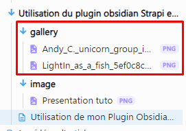 Computer screen displaying a file navigation window with a folder named 'gallery' expanded to reveal PNG image files named 'Andy_C_unicorn_group_i...' and 'LightIn_as_a_fish_5ef0c8c8c...'. A red box highlights the folder and its contents.